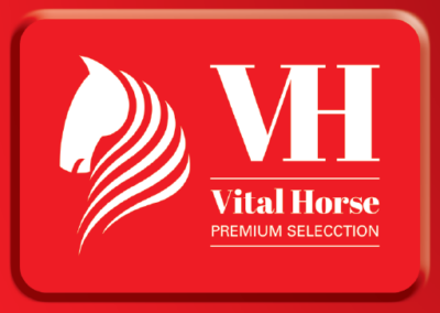VH PREMIUM